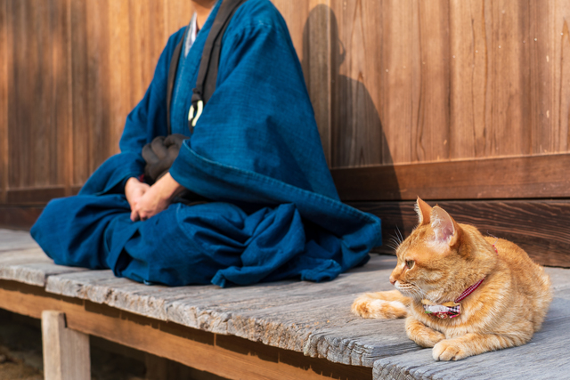 猫とお坊さん