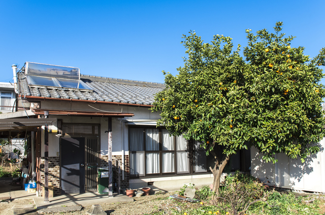 一戸建て