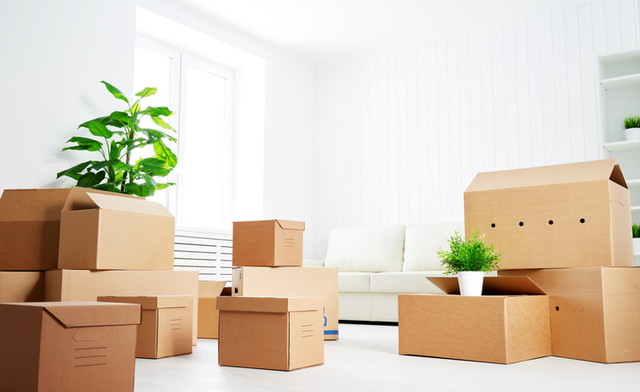 遺品整理で残すものとは？見極め方を大公開